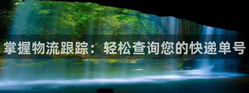 28圈现在狂杀：掌握物流跟踪：轻松查