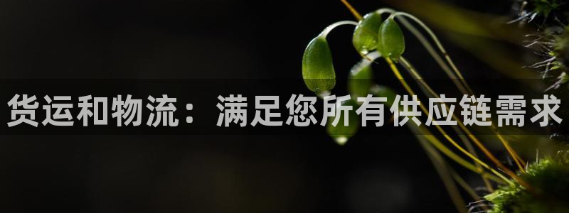 28圈是啥