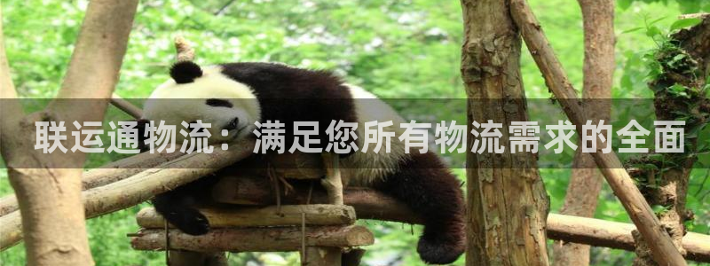 28圈注册与教程： 联运通物流：满足