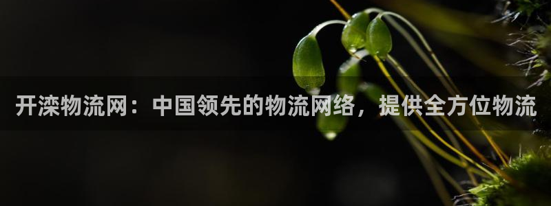 28圈链接来一个：开滦物流网：中国领
