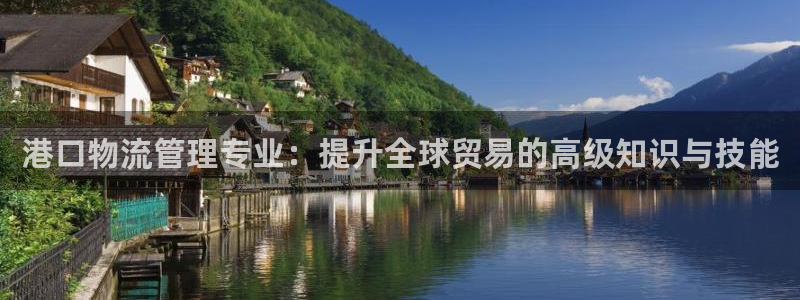 28圈登录用户名登录不上：港口物流管