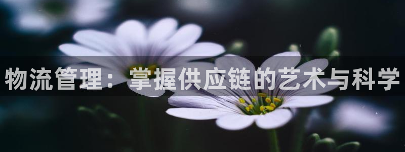 28圈南宫娱乐官网：物流管理：掌握供