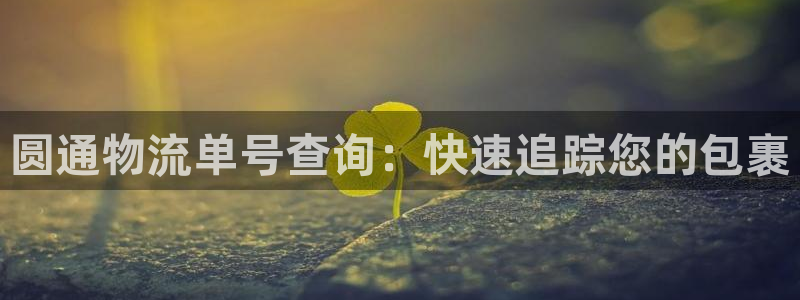 28圈绿骨头