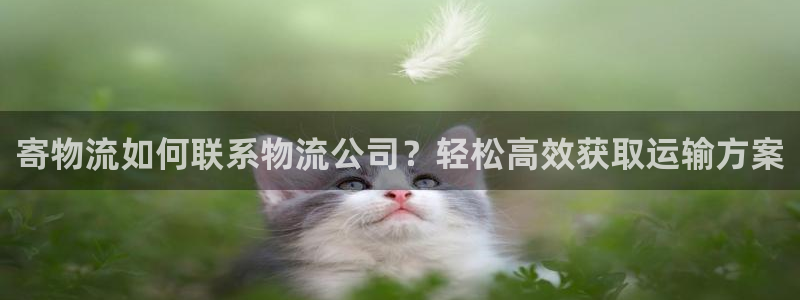28圈app赢了500万：寄物流如何