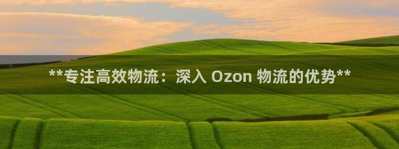 28圈麻将胡了：**专注高效物流：深