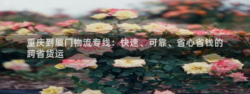 28圈加拿大pc预测：重庆到厦门物流