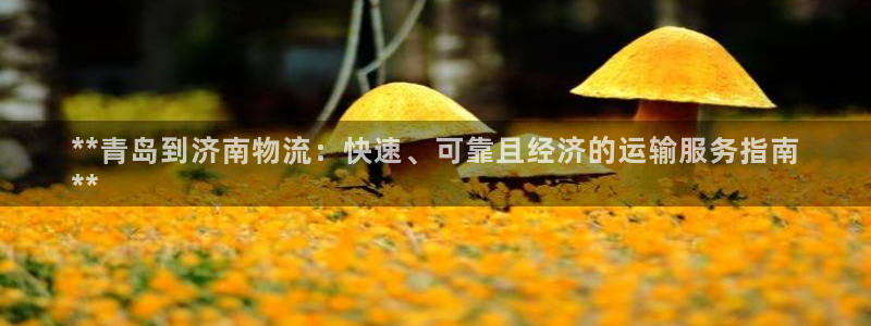 28圈ccm游戏：**青岛到济南物流