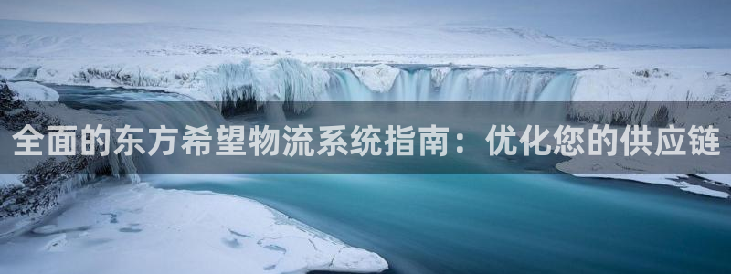 28圈推广链接是多少个：全面的东方希