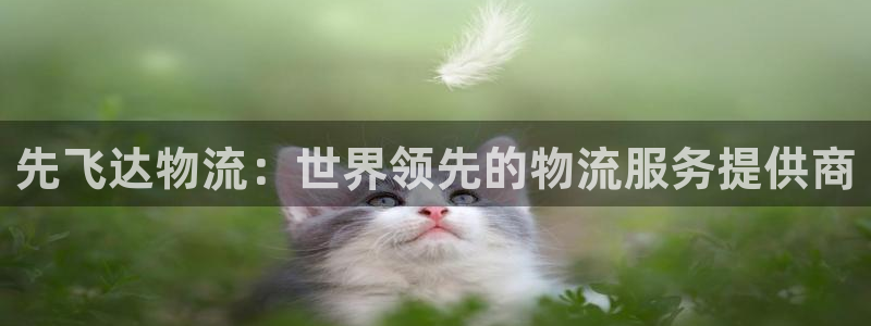 28圈官网版2024：先飞达物流：世