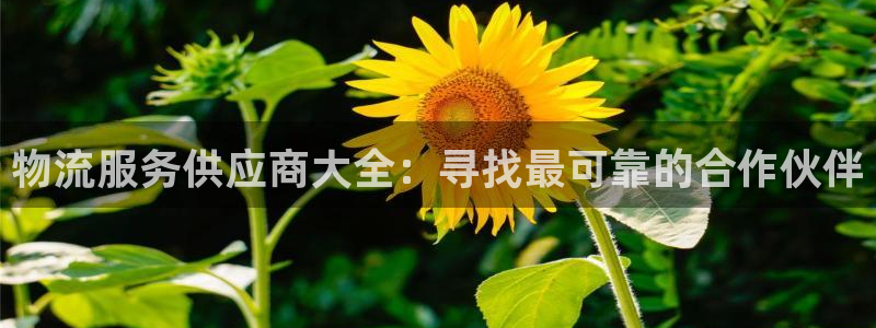 28圈链接：物流服务供应商大全：寻找