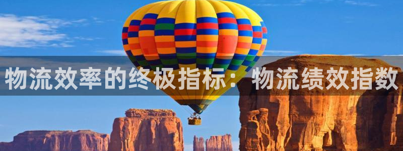 28圈头像：物流效率的终极指标：物流