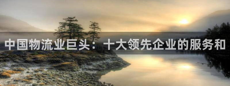 28圈代理落网：中国物流业巨头：十大
