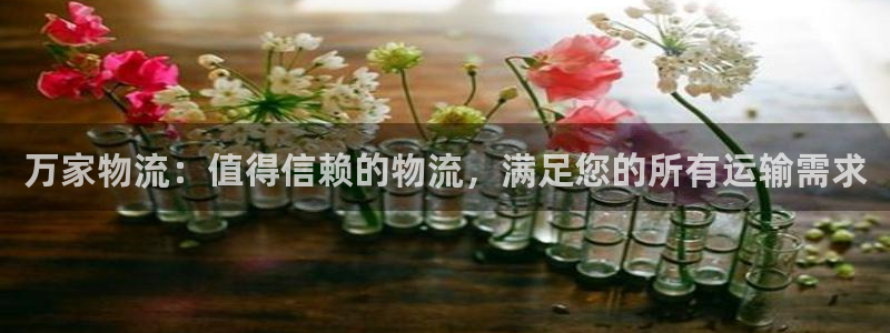 28圈是啥：万家物流：值得信赖的物流