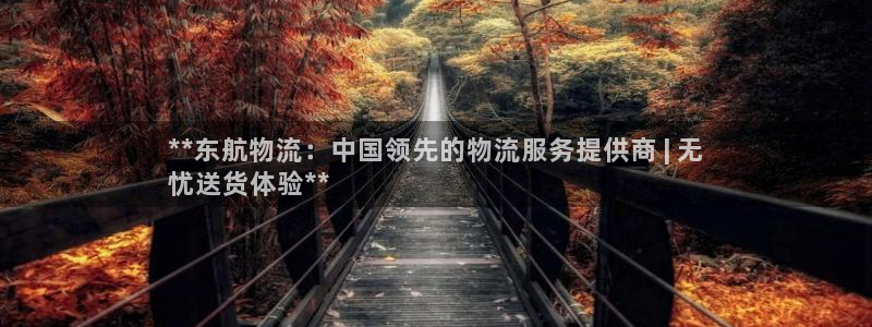 28圈网赌有什么风险：**东航物流：