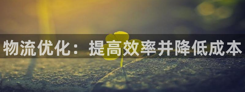 28圈充值不处理怎么办：物流优化：提