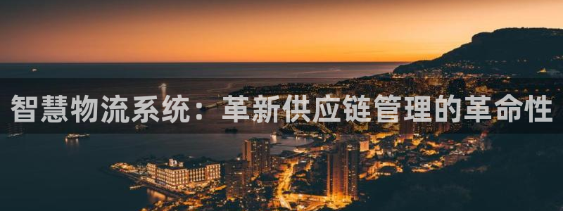 28圈机器人是什么软件：智慧物流系统