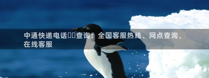 28圈下载不了：中通快递电话☎️查询