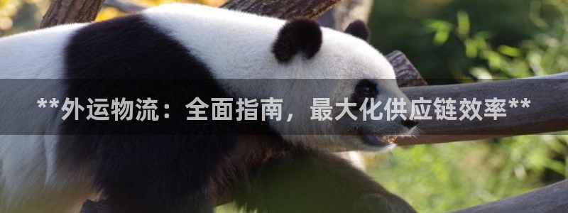 28圈是啥：**外运物流：全面指南，