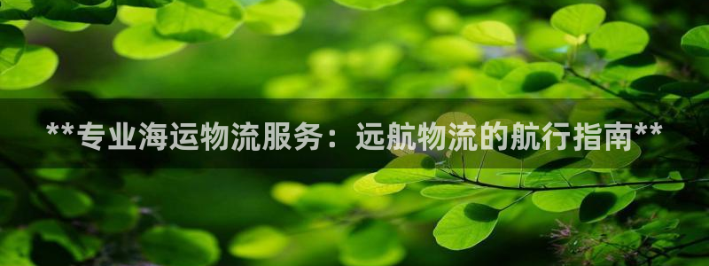 28圈正规吗：**专业海运物流服务：远航物流的航行指南**