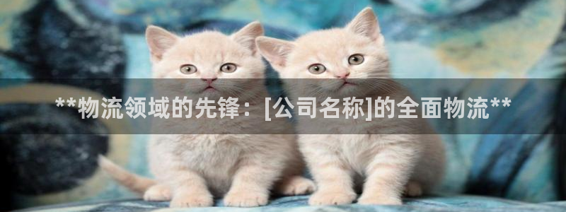 28圈PG电子游戏：**物流领域的先