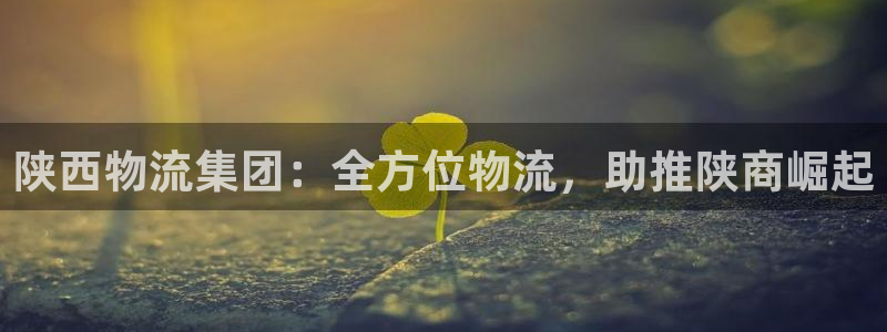 28圈可以退款吗：陕西物流集团：全方