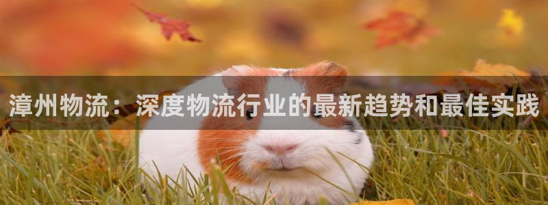 28圈登录网：漳州物流：深度物流行业