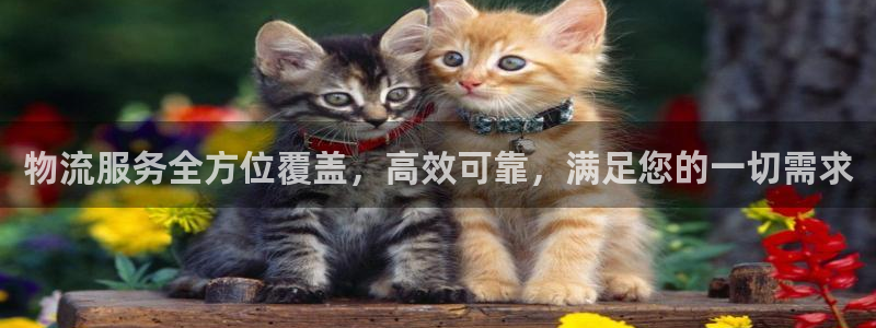 28圈：物流服务全方位覆盖，高效可靠