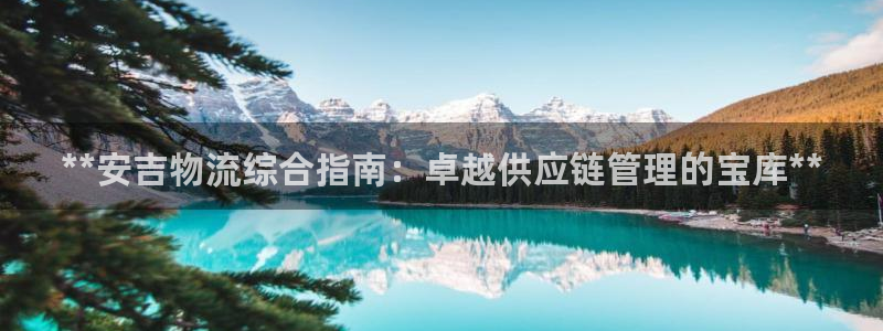 28圈.ccm：**安吉物流综合指南：卓越供应链管理的宝库*