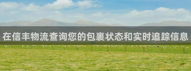 28圈如何看计划：在信丰物流查询您的