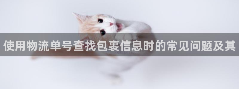 28圈官网链接：使用物流单号查找包裹