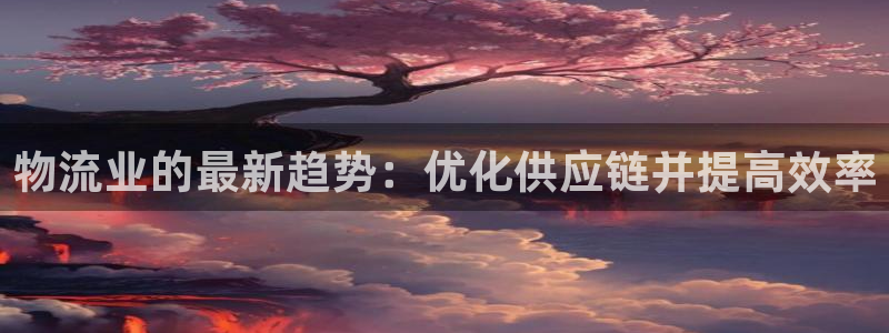 28圈官网版2024：物流业的最新趋