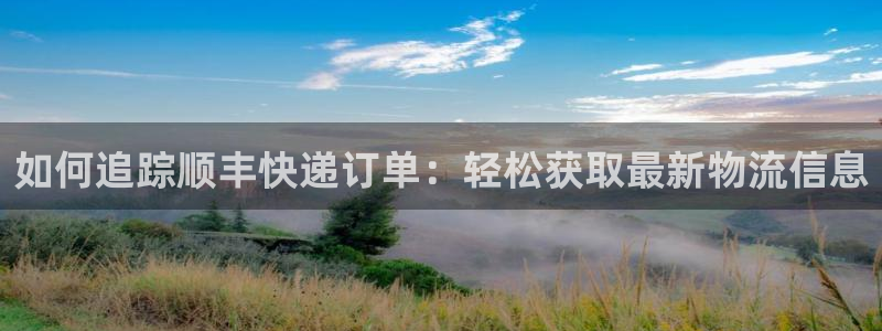 28圈官方官网版：如何追踪顺丰快递订