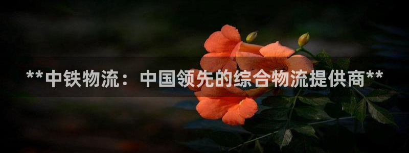 28圈是干嘛的