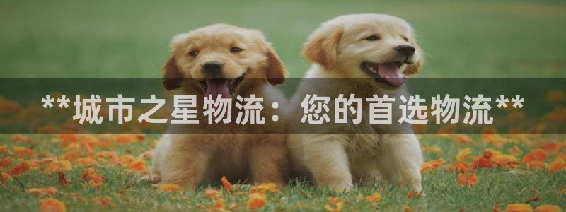 28圈模拟器：**城市之星物流：您的