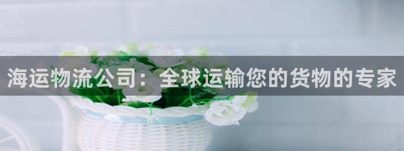 28圈反水：海运物流公司：全球运输您的货物的专家