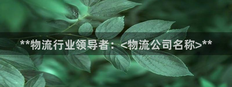 28圈注册地址：**物流行业领导者：