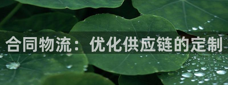 28圈登录不上咋回事：合同物流：优化