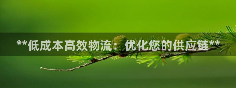 28圈cn：**低成本高效物流：优化