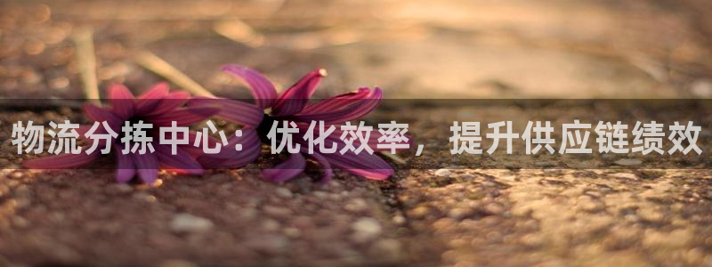 28圈模拟器下载：物流分拣中心：优化