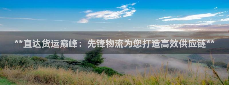 28圈网赌案件：**直达货运巅峰：先