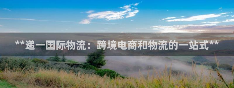 28圈麻将胡了：**递一国际物流：跨