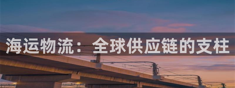 28圈退款教程：海运物流：全球供应链