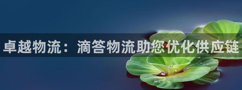 28圈加拿大pc预测：卓越物流：滴答
