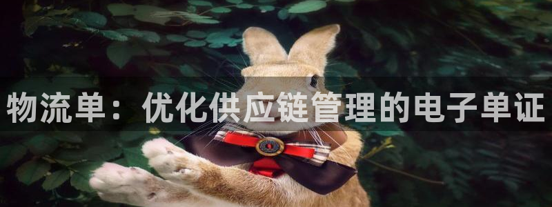 28圈链官网