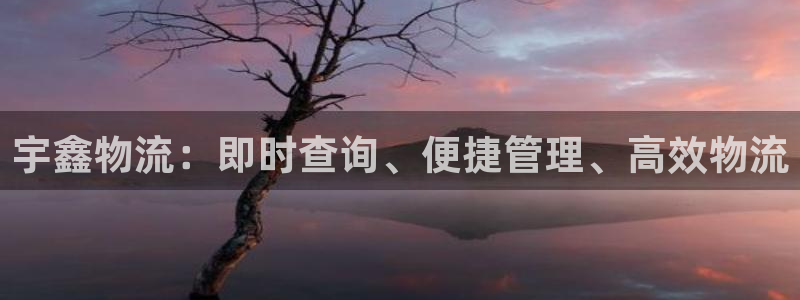 28圈.ccmpc29官网版：宇鑫物