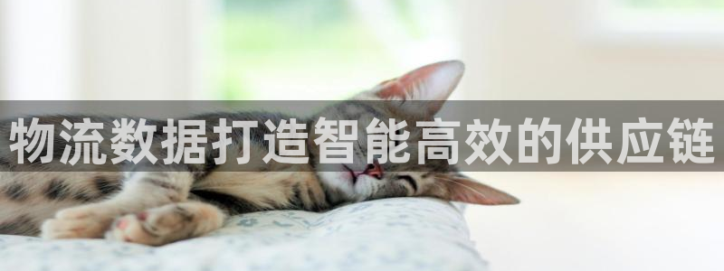 加拿大28圈数字规则：物流数据打造智