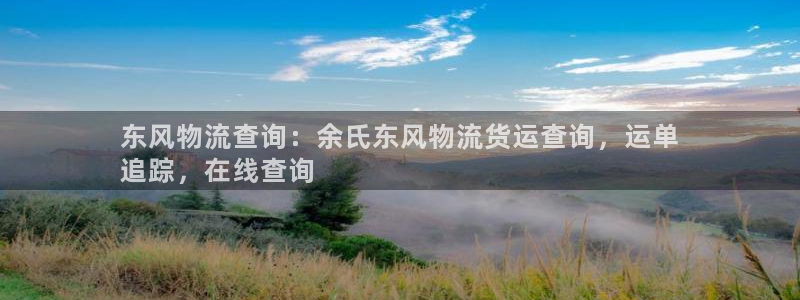 28圈麻将：东风物流查询：余氏东风物