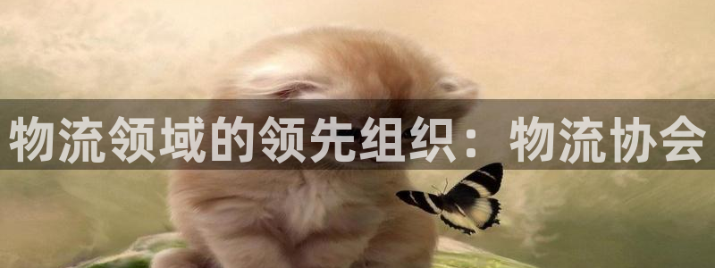 28圈.ccmo：物流领域的领先组织