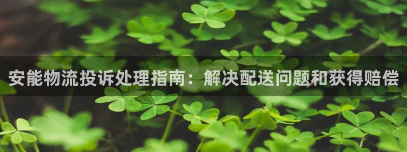 28圈是什么是赌博吗?：安能物流投诉