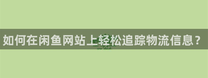 28圈加拿大怎么玩：如何在闲鱼网站上